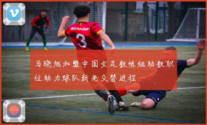 马晓旭加盟中国女足教练组助教职位助力球队新老交替进程